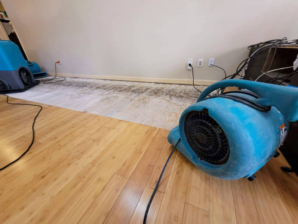 Professional Structural Drying technician working in Wright, MN